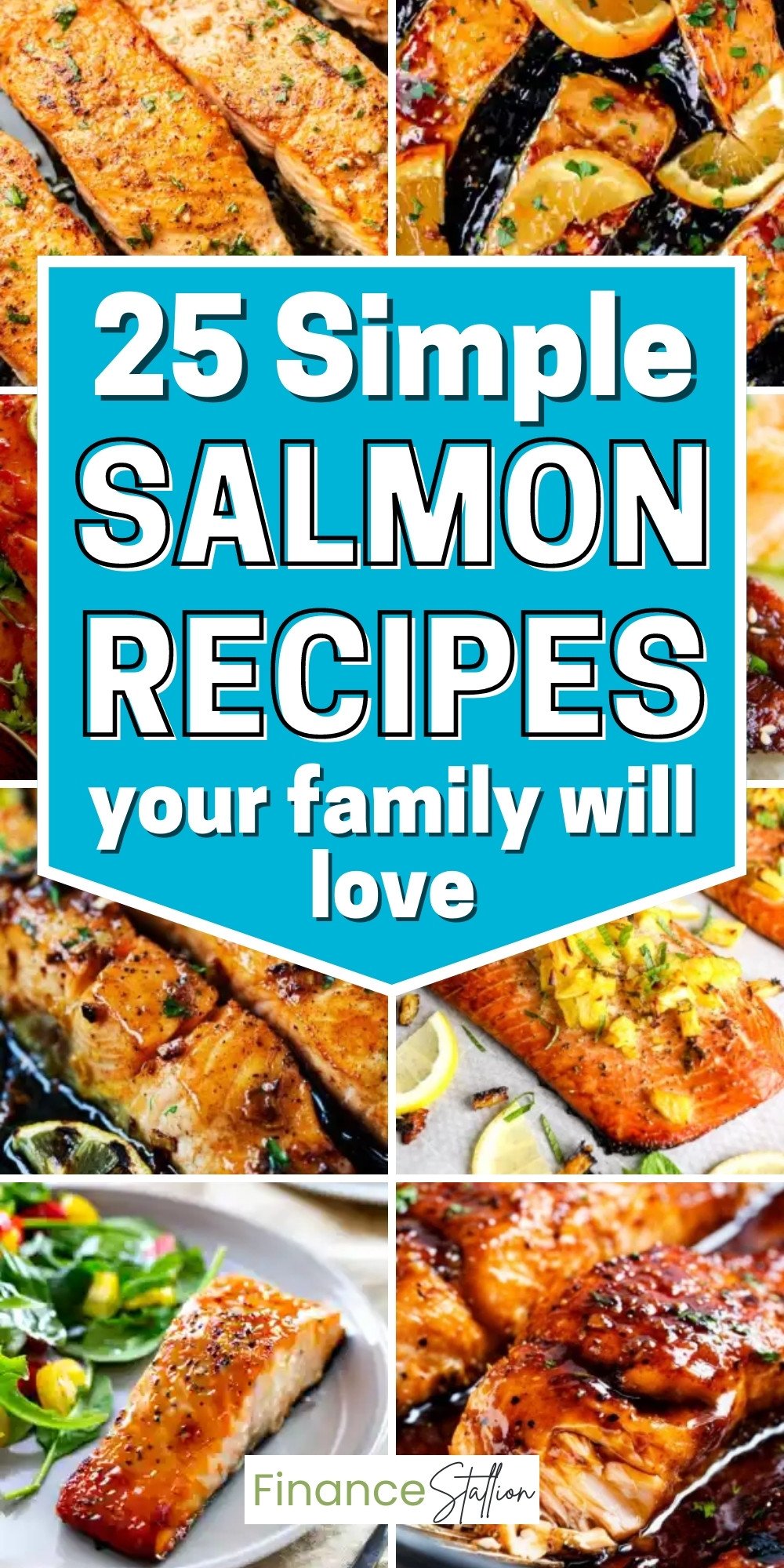 25 Simple Easy Salmon Recipes - Finance Stallion