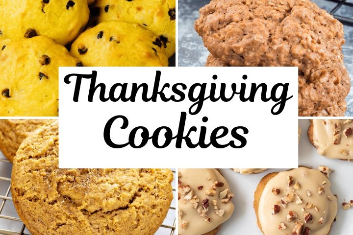 cute easy decorated thanksgiving cookies for kids