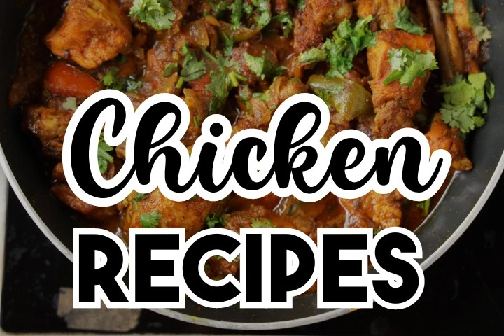 A delicious spread of chicken recipes including buffalo chicken dip, chicken parmesan, and grilled chicken. Explore the best chicken dinner recipes here.